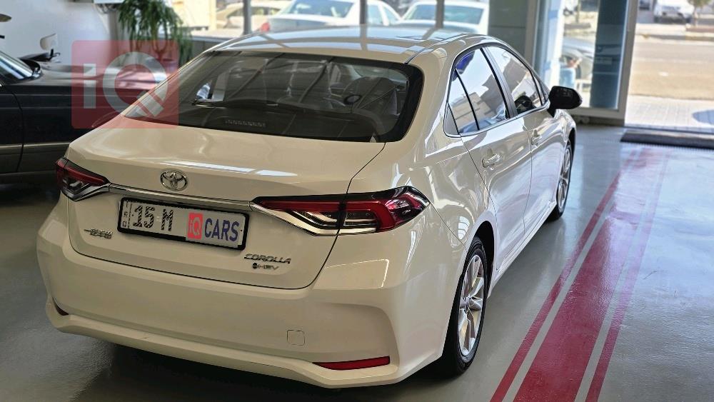 تويوتا كورولا